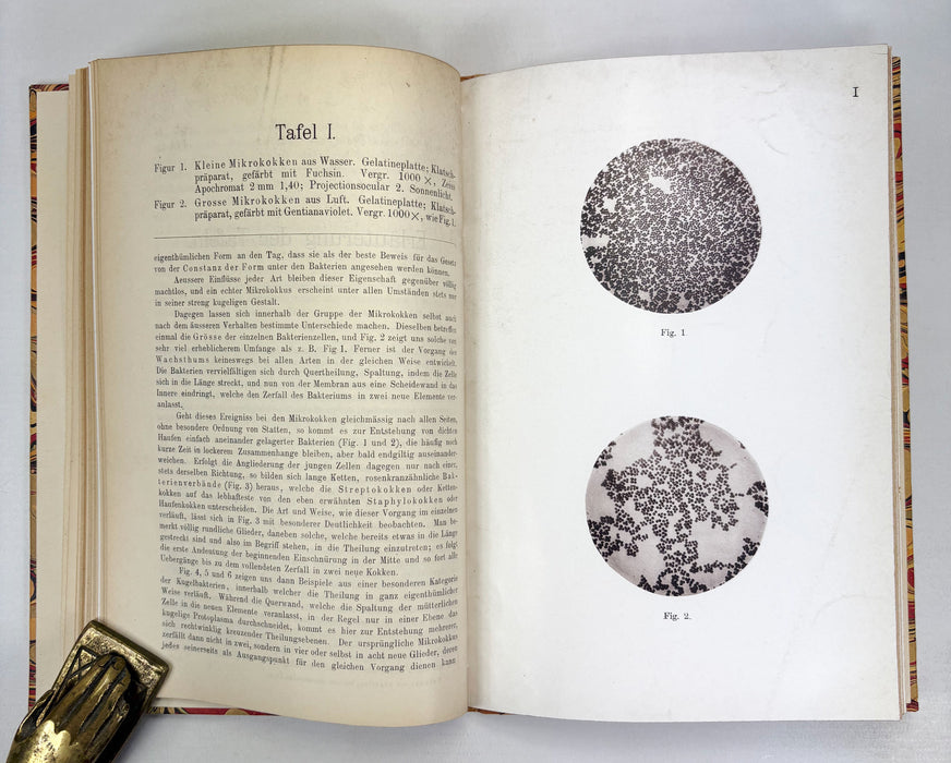 Mikrophotographischer Atlas der Bakterienkunde, Dr. Carl Fraenkel & Dr. Richard Pfeiffer, Berlin 1889