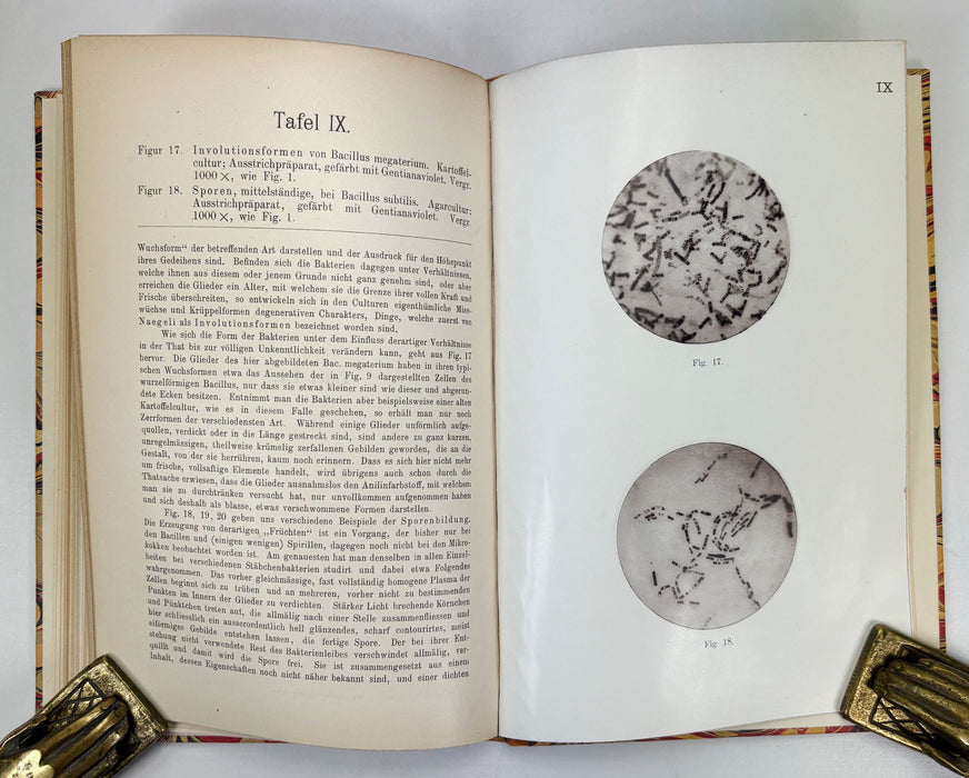 Mikrophotographischer Atlas der Bakterienkunde, Dr. Carl Fraenkel & Dr. Richard Pfeiffer, Berlin 1889
