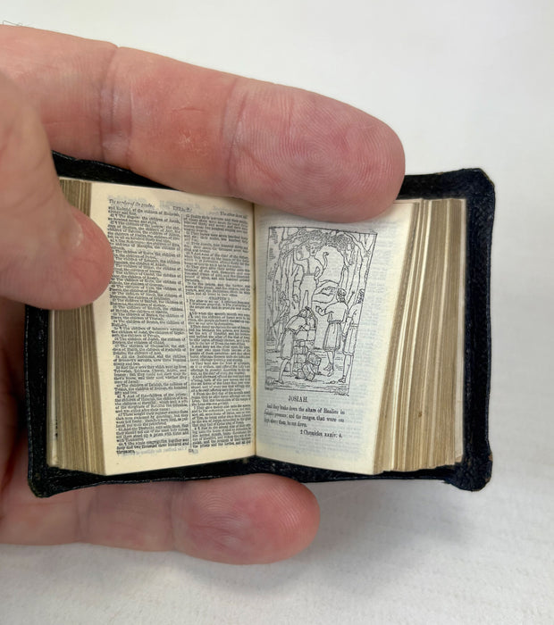Miniature Book; The Holy Bible containing the Old and New Testaments, David Bryce, Glasgow, 1896, with magnifier