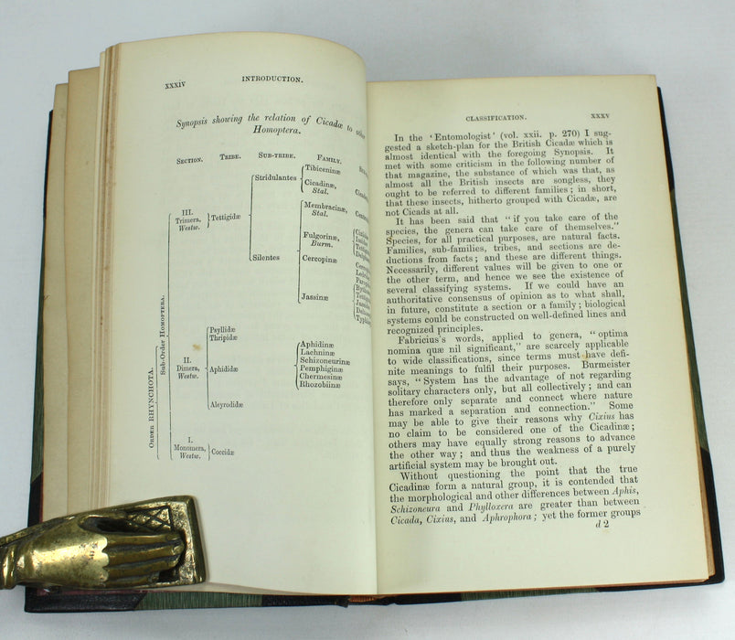 Monograph of the British Cicadae or Tettigidae, George Bowdler Buckton, 1890