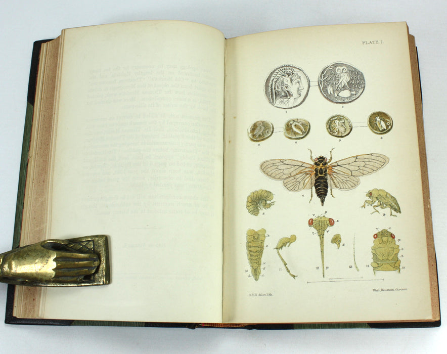 Monograph of the British Cicadae or Tettigidae, George Bowdler Buckton, 1890