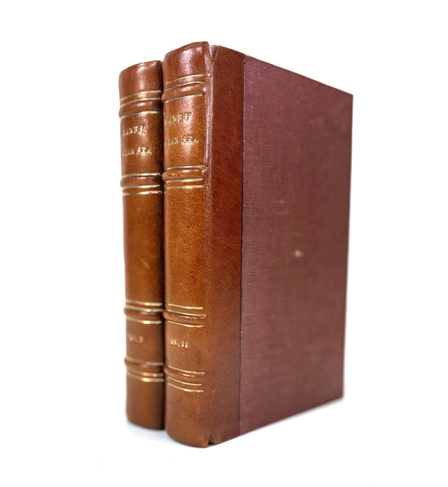 Narrative of A Voyage to the Polar Sea During 1875-6 in H.M. Ships 'Albert' and 'Discovery', by Capt. Sir G.S. Nares, 1878