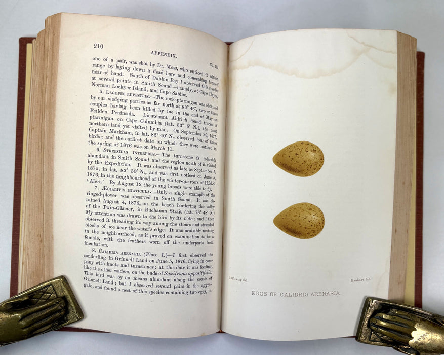 Narrative of A Voyage to the Polar Sea During 1875-6 in H.M. Ships 'Albert' and 'Discovery', by Capt. Sir G.S. Nares, 1878