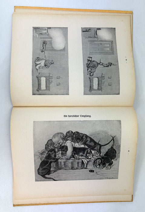 O diese Dackel! ; Allerlei Lustiges aus dem Leben unserer kleinen krummbeinigen Freunde, 2 volumes, 1923. Oh, those dachshunds!