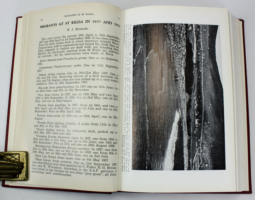 Ornithology; Scottish Birds; The Journal of the Scottish Ornithologists' Club, 11 Volume set, 1958-1981