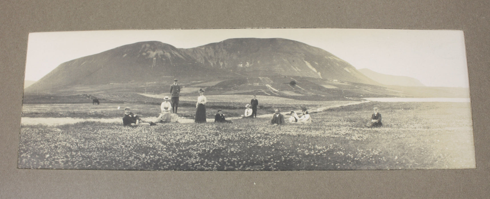 Edwardian Photo Album with 41 unusual Panoramic Photographs, Britain, London, Scotland