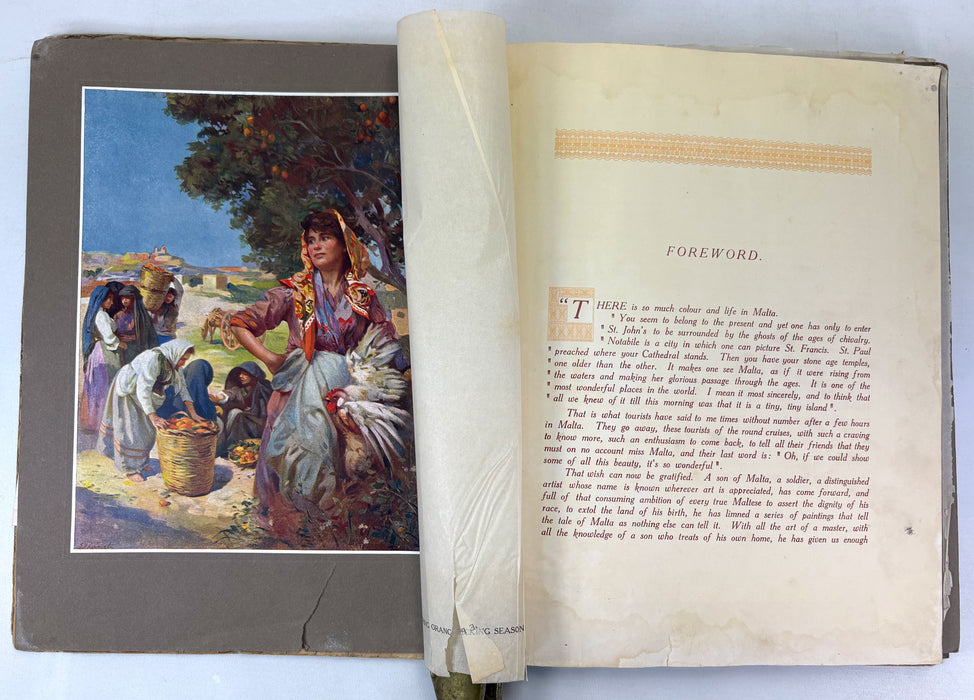 Photo album from Royal Air Force Photographic Section at Luqa, Malta, c. 1942-43, World War II