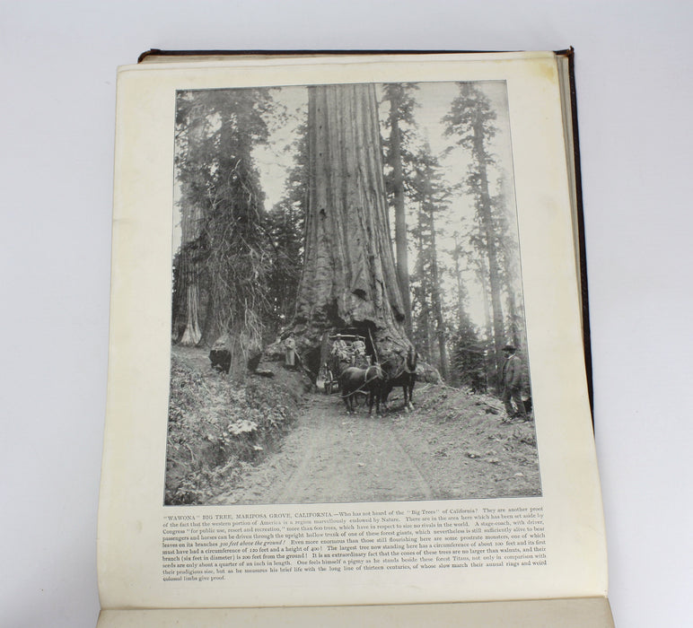 Portfolio of Photographs of Famous Cities, Scenes and Paintings, John L. Stoddard, Werner, c. 1890s