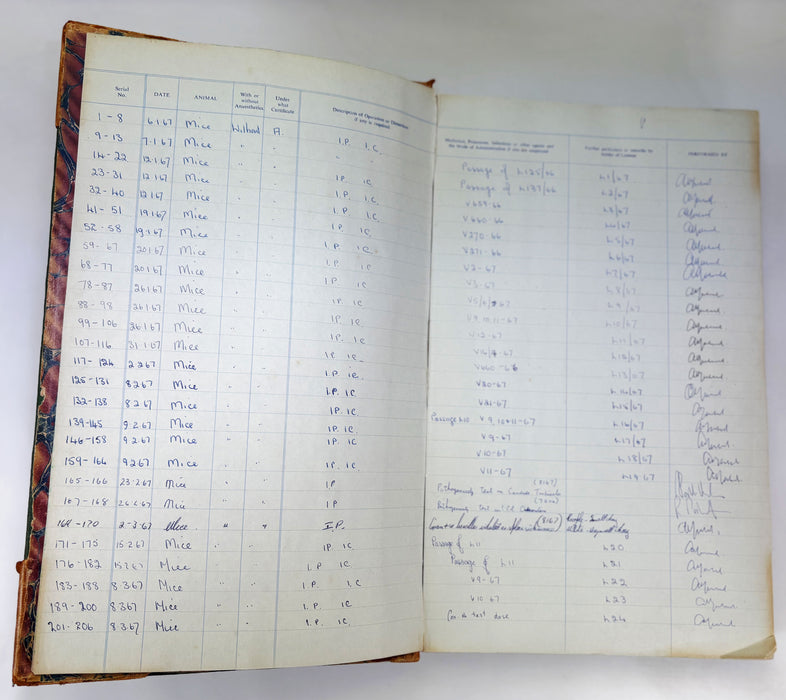 Records of Experiments on Living Animals, Bacteriology Department, University of Aberdeen, 1967-1980