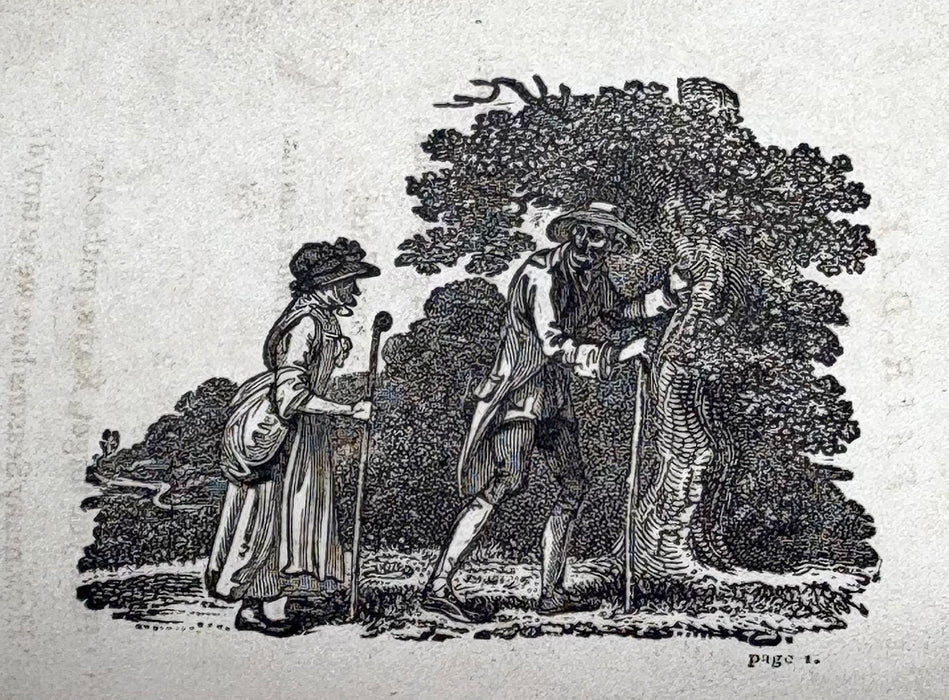 Rural Tales; Ballads, and Songs, by Robert Bloomfield, The Second Edition, Vernon and Hood, 1802