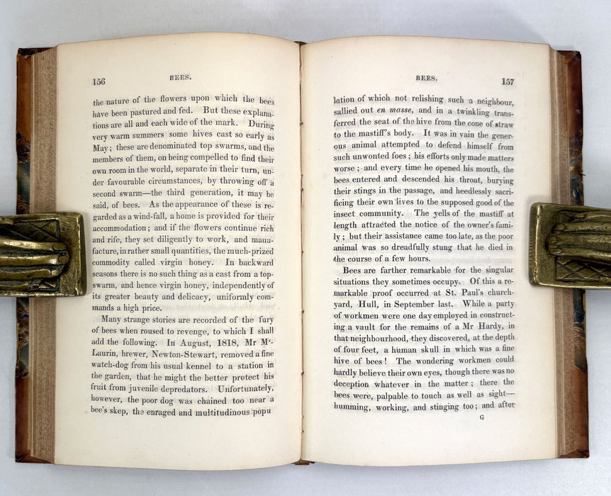 Sketches from Nature, by John M’Diarmid, 1830