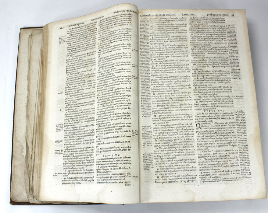 Testamenti Veteris Biblia Sacra, Genevae, Matthaei Berjon, 1617. Early Bible from Geneva, in Latin.