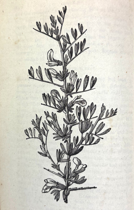 The Bee, or Literary Weekly Intelligencer, James Anderson, Volume Eighteenth, 1793, Edinburgh
