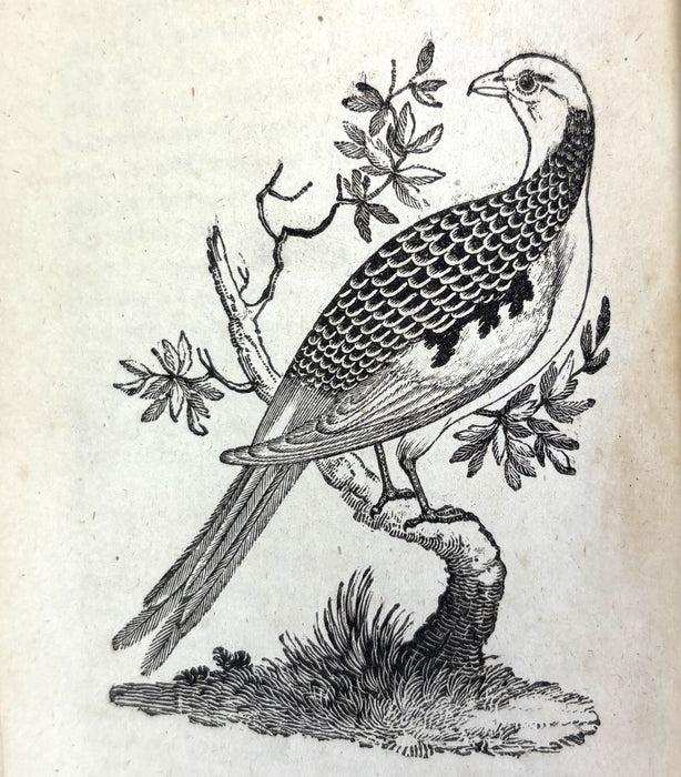 The Bee, or Literary Weekly Intelligencer, James Anderson, Volume Eighteenth, 1793, Edinburgh