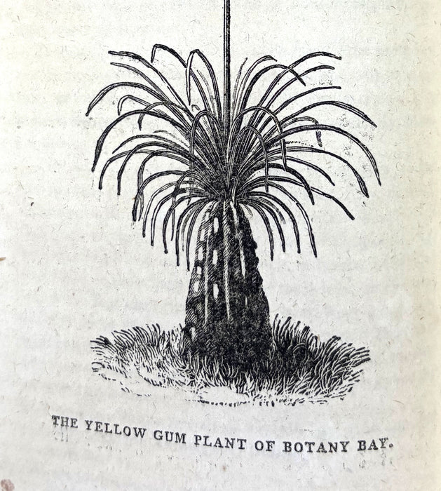 The Bee, or Literary Weekly Intelligencer, James Anderson, Volume Seventeenth, 1793, Edinburgh