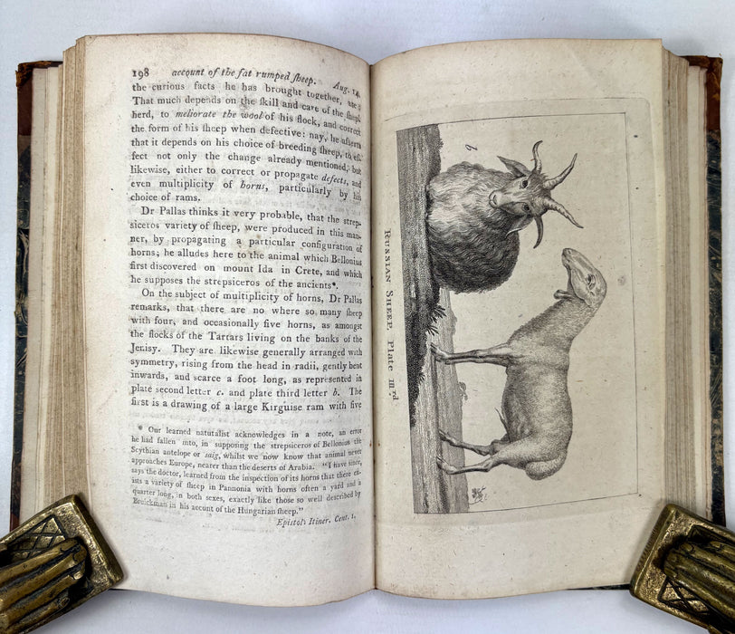 The Bee, or Literary Weekly Intelligencer, James Anderson, Volume Sixteenth, 1793, Edinburgh