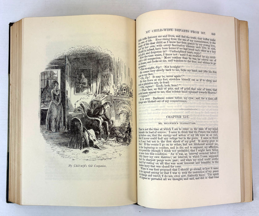 The Biographical Edition of the Works of Charles Dickens, in Nineteen Volumes, illustrated, Chapman & Hall, 1902-1905