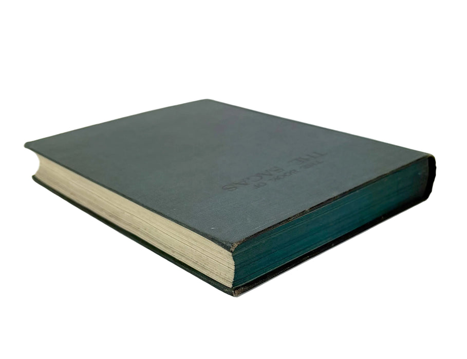 The Book of The Sagas, Alice S. Hoffman. Illustrated by Gordon Browne. Published by Ernest Nister, London and E.P. Dutton, New York