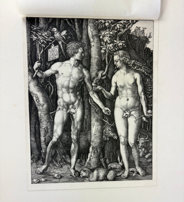 The Dürer Society, Eighth Series; complete Folio with 29 backed sheets of prints, 1905 (elephant folio size)