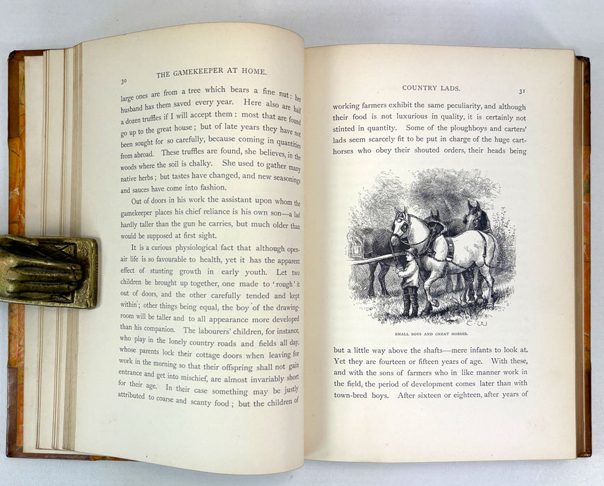 The Gamekeeper at Home; Sketches of Natural History and Rural Life, Richard Jefferies, 1880
