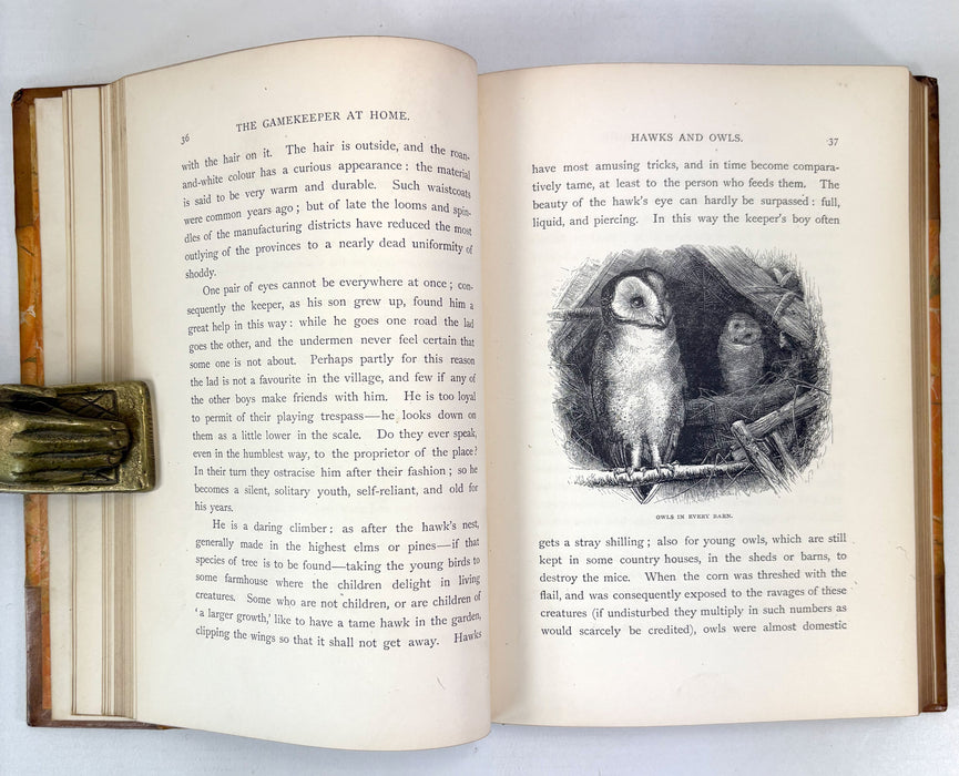 The Gamekeeper at Home; Sketches of Natural History and Rural Life, Richard Jefferies, 1880