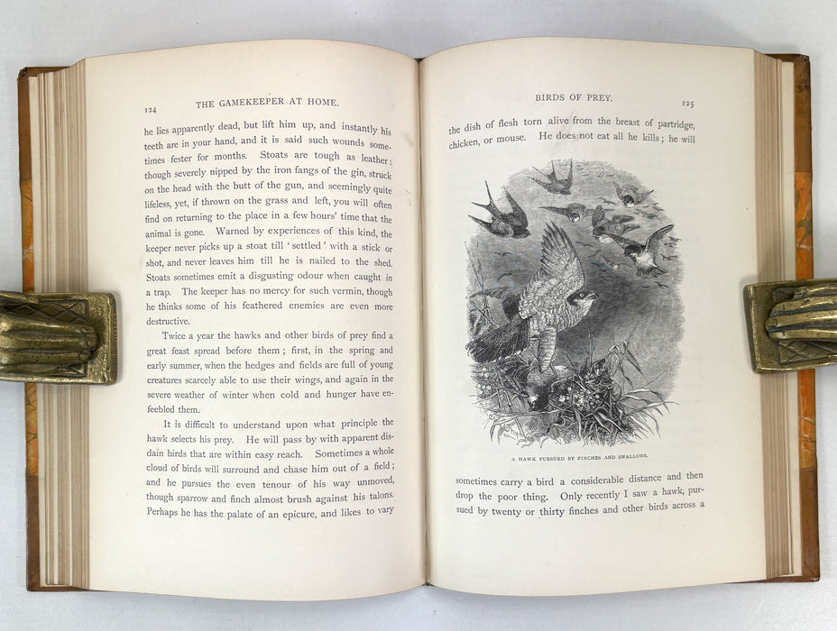 The Gamekeeper at Home; Sketches of Natural History and Rural Life, Richard Jefferies, 1880
