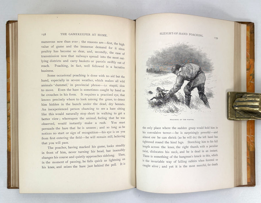 The Gamekeeper at Home; Sketches of Natural History and Rural Life, Richard Jefferies, 1880