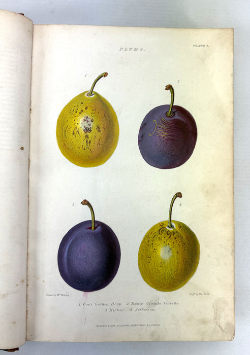 The Gardener's Assistant; Practical and Scientific. A Guide to the Formation and Management of the Kitchen, Fruit, and Flower Garden, Robert Thompson, 1859