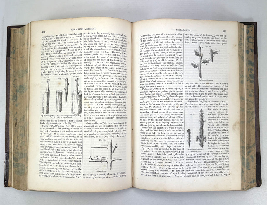 The Gardener's Assistant; Practical and Scientific. A Guide to the Formation and Management of the Kitchen, Fruit, and Flower Garden, Robert Thompson, 1859