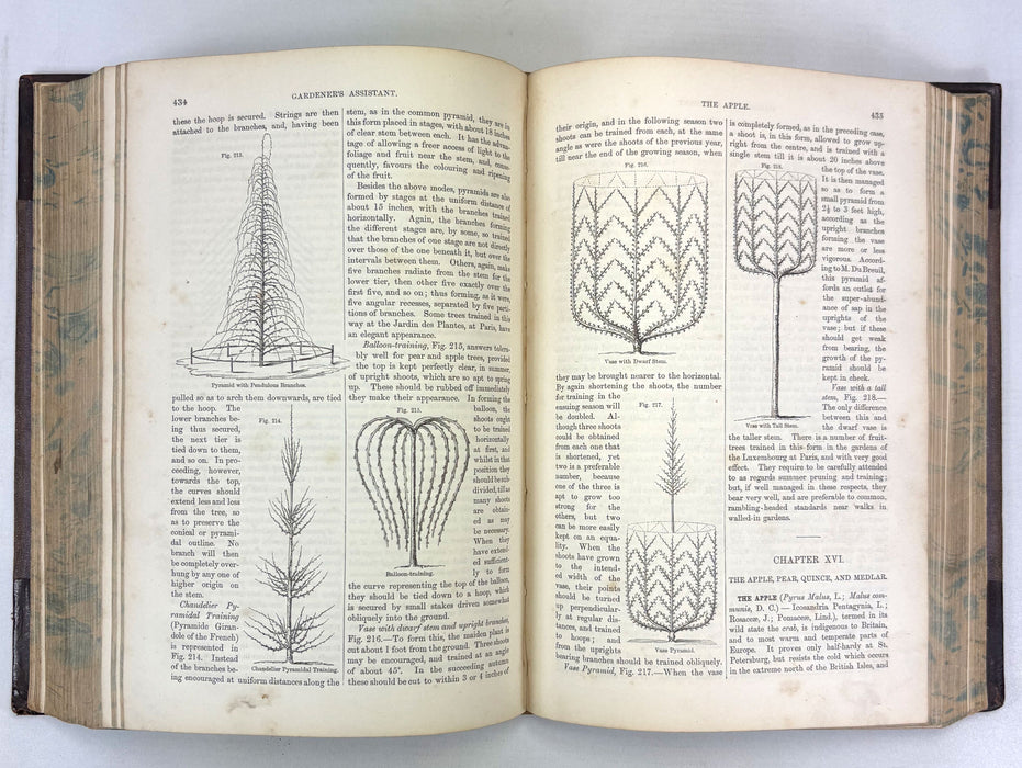 The Gardener's Assistant; Practical and Scientific. A Guide to the Formation and Management of the Kitchen, Fruit, and Flower Garden, Robert Thompson, 1859