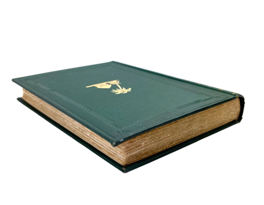 The Hawaiian Archipelago; Six Months Among The Palm Groves, Coral Reefs, and Volcanoes of the Sandwich Islands. By Isabella L. Bird. Published John Murray, 1890.
