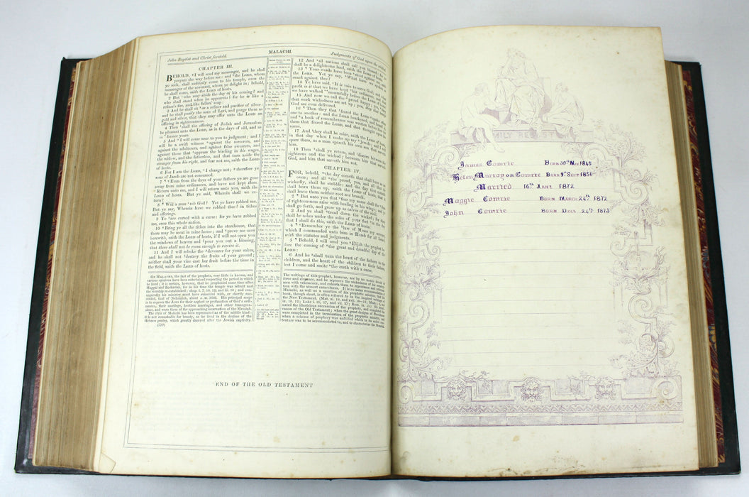 The Illustrated Family Bible, Containing The Old and New Testaments, Rev. John Brown, Fullarton, c. 1860