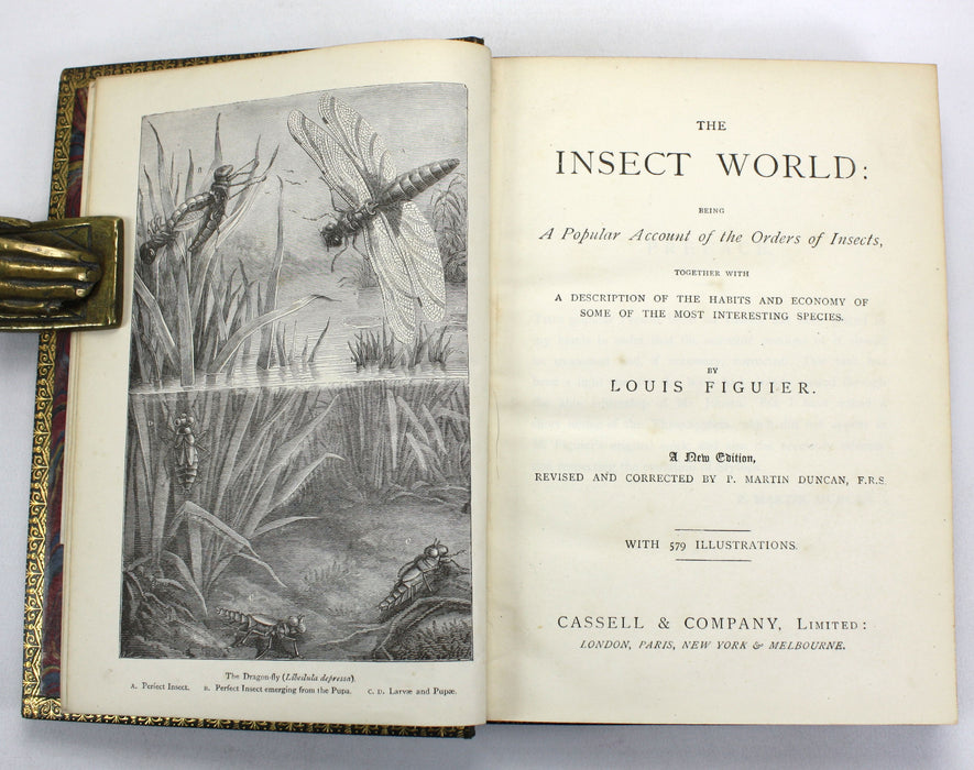 The Insect World; Being A Popular Account of the Orders of Insects, Louis Figuier, 1892