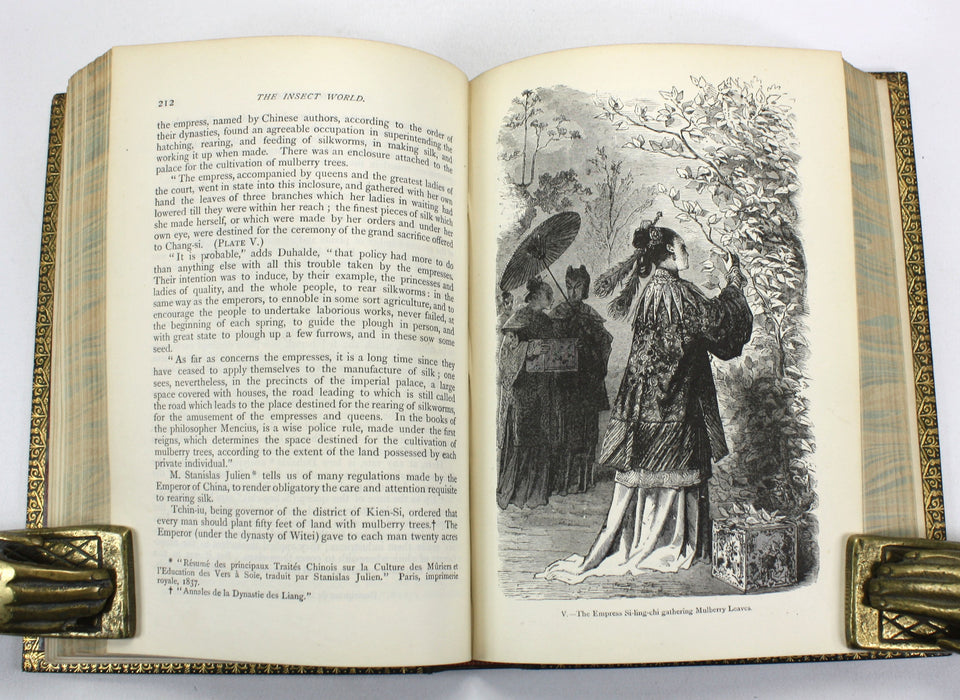 The Insect World; Being A Popular Account of the Orders of Insects, Louis Figuier, 1892