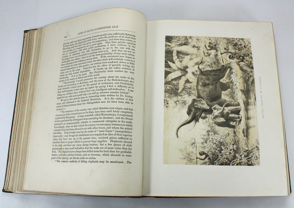 The Life and Explorations of David Livingstone, LL.D., Adam & Co/John G. Murdoch, London, c. 1880