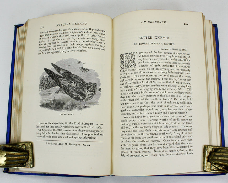 The Natural History and Antiquities of Selborne, Gilbert White, Illustrated by Thomas Bewick, Bickers and Son, 1875