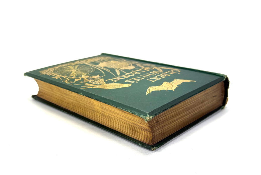 The Natural History and Antiquities of Selborne, Gilbert White, Illustrated by Thomas Bewick, Swan Sonnenschein, 1891