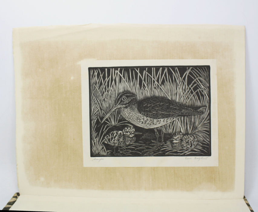 The Natural History of Selborne, Gilbert White, Illustrated by Eric Dalglish, Thornton Butterworth, numbered limited edition with extra signed plate, 1929