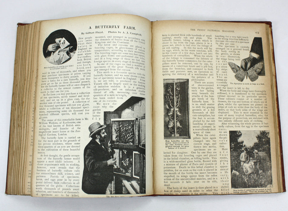 The Penny Pictorial Magazine, 3 bound volumes of issues, 1899-1900