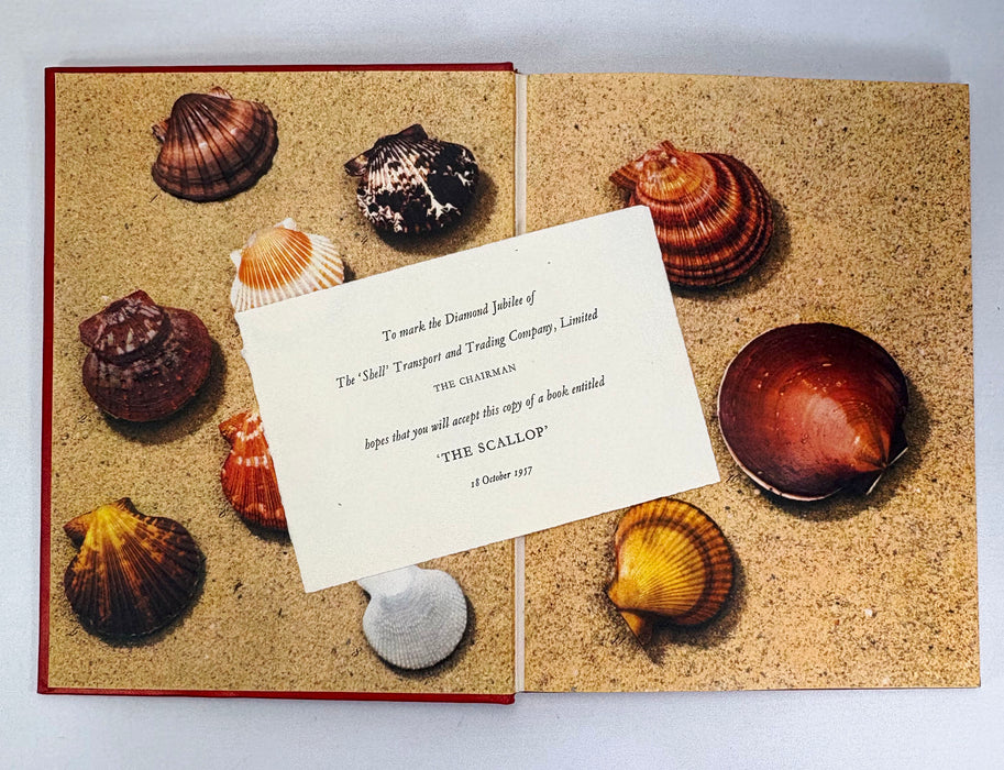 The Scallop; Studies of a shell and its influences on humankind, edited by Ian Cox, Shell Transport and Trading Company, 1957