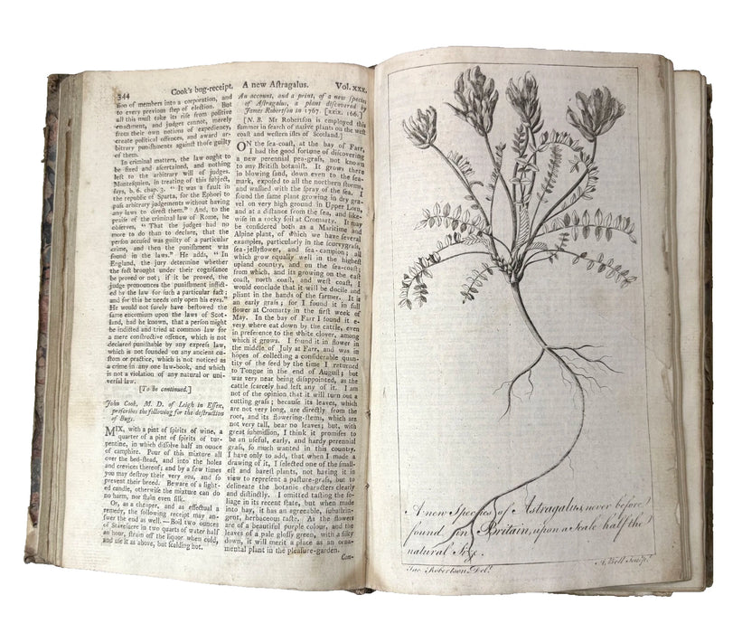 The Scots Magazine, February 1768 - December 1769, Vol. XXX - Vol. XXXI