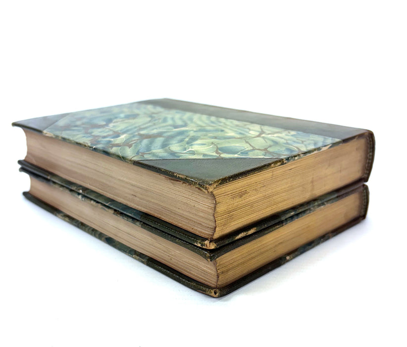 The Stones of Venice; 2 Volume set, by John Ruskin, 1892