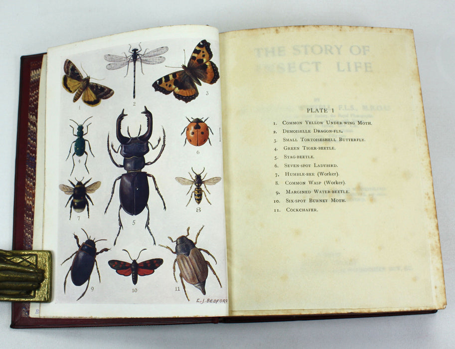 The Story of Insect Life, W. Percival Westell, 1907