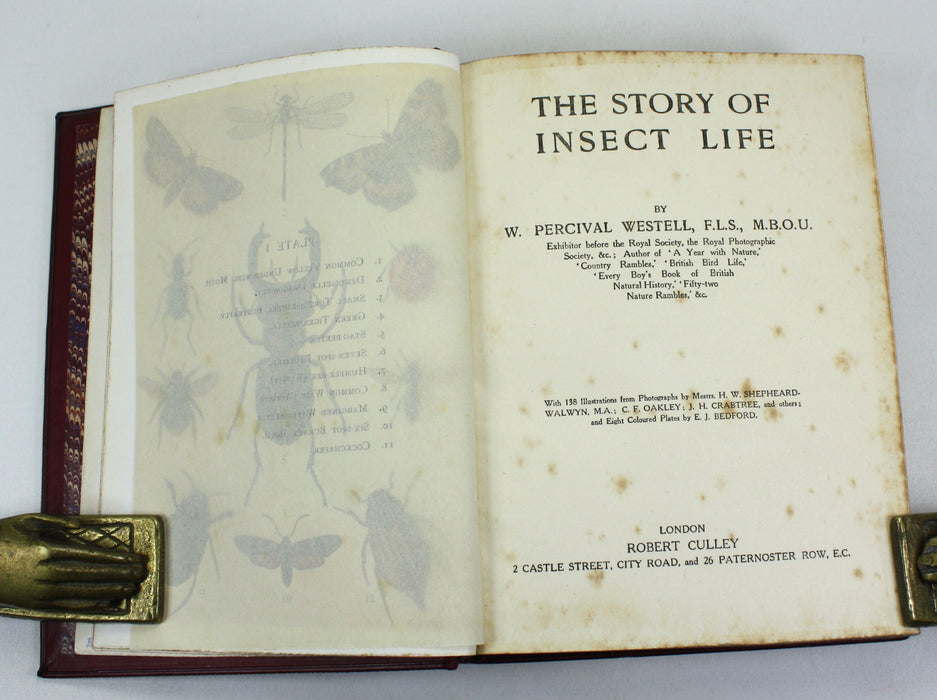 The Story of Insect Life, W. Percival Westell, 1907