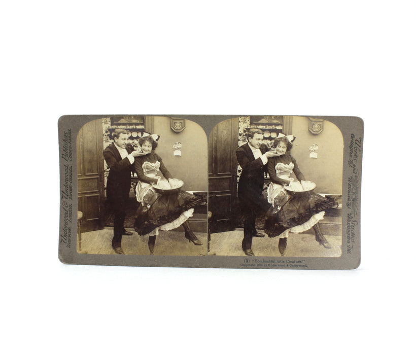 Underwood & Underwood; Mr and Mrs Newlywed's New French Cook; Comic, Risque, 10 Stereoscope card set, complete. 1900.