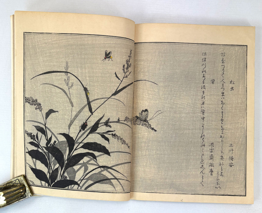 Utamaro, by Yone Noguchi, Elkin Mathews, London, 1925, One of 450 copies for sale in Europe. Printed in Japan.