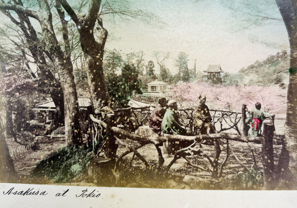 Vintage 19th Century Japanese Photo Album with 50 Hand Tinted Albumen Prints, 14cm x 9cm
