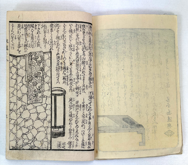 夜嵐阿衣花廼仇夢 (Yoarashi Okinu Hana no Adayume) - Pair of Meiji Woodblock-Illustrated Volumes, 1878