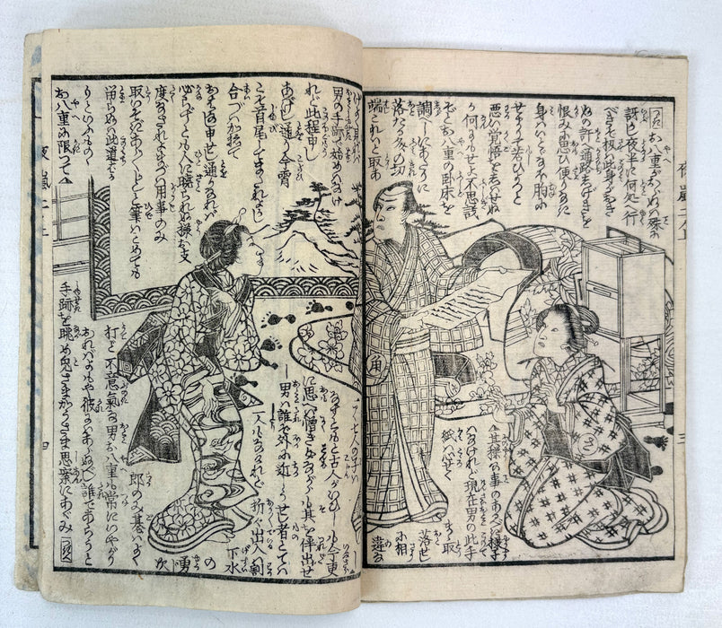 夜嵐阿衣花廼仇夢 (Yoarashi Okinu Hana no Adayume) - Pair of Meiji Woodblock-Illustrated Volumes, 1878