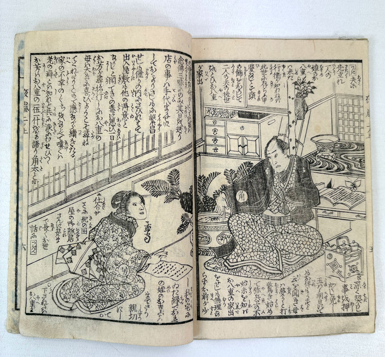 夜嵐阿衣花廼仇夢 (Yoarashi Okinu Hana no Adayume) - Pair of Meiji Woodblock-Illustrated Volumes, 1878